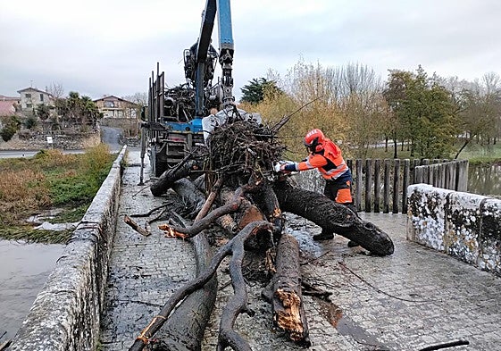 Un operario prepara los troncos retirados del puente para que se los lleve un camión.