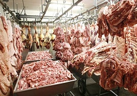 ¿Qué pasará con el precio de la carne de cerdo en España por la peste porcina?