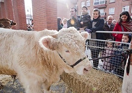 Una pasada edición de la feria agrícola y ganadera de Leioa.