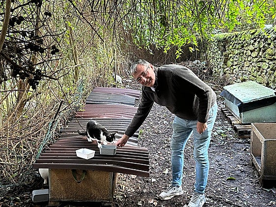 El durangués Pedro Carreto alimenta a un gato en la colonia felina.