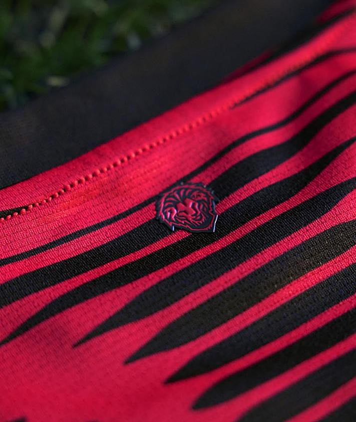 Imagen secundaria 2 - El Athletic presenta su cuarta equipación, «un león nacido para rugir»