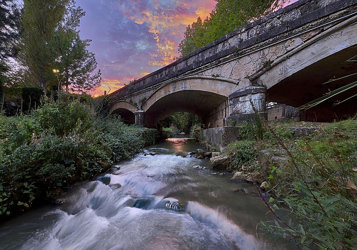 Imagen principal - Imágenes ganadoras del concurso de fotografías para el calendario 2026.