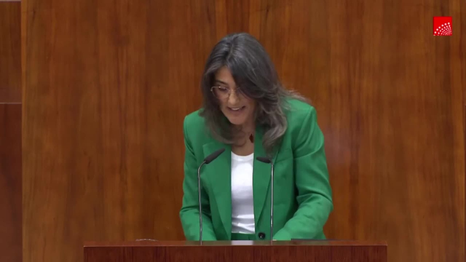 Más Madrid acusa a Ayuso de poner el poder político para "la pasta" de su novio