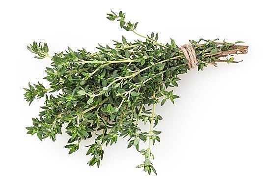 Tomillo, aroma y sabor a campo