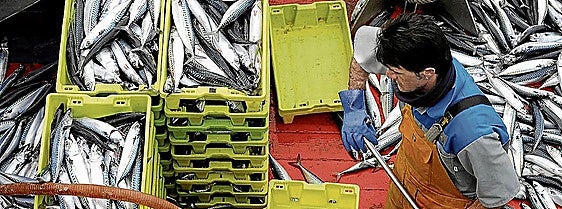 A la 'pesca' de jóvenes arrantzales