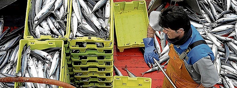 A la 'pesca' de jóvenes arrantzales