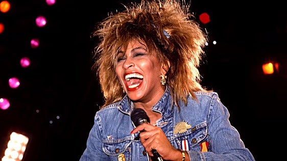 Uno de los miembros de ABBA compra el nombre, la imagen y gran parte de la música de Tina Turner