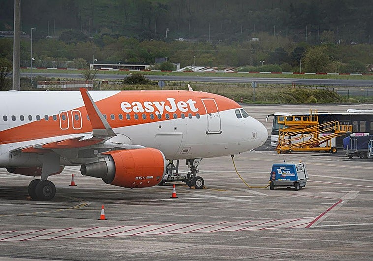 Un avión sufre daños al chocar con un buitre cerca de Loiu y se queda 4 días fuera de juego