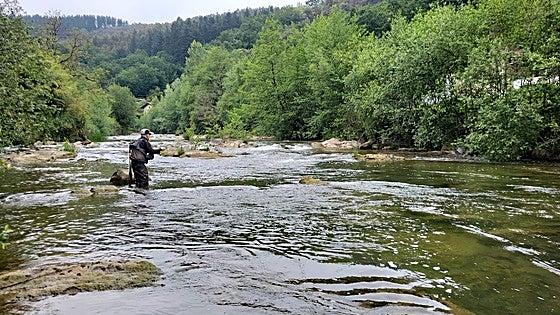 Bizkaia abre sus ríos y embalses a 2.500 pescadores