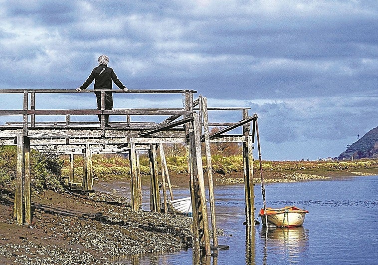 Urdaibai exige revertir el declive de la comarca sin dañar su biodiversidad