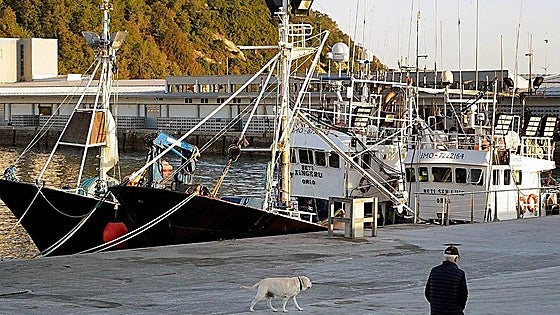 Retienen en Francia a un pesquero vasco con 6,4 toneladas de anchoas pescadas sin autorización