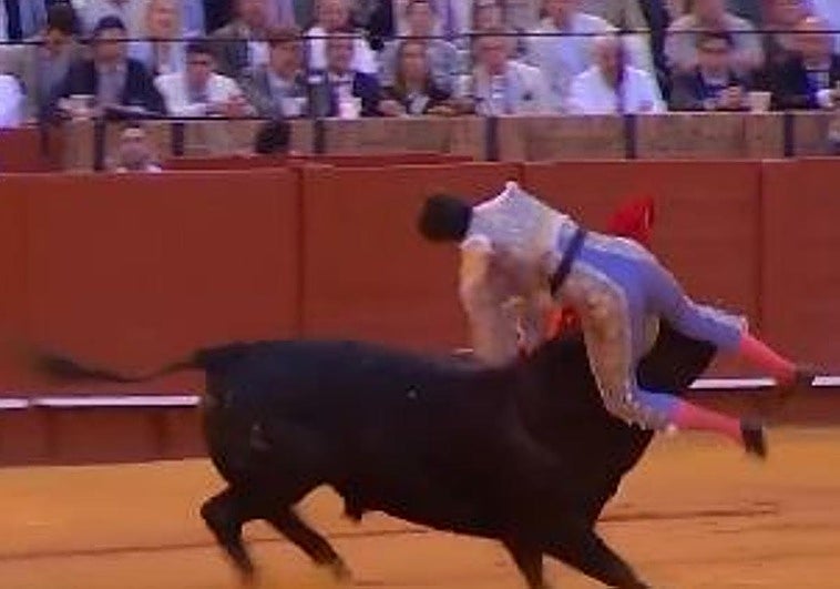 Roca Rey sufre una grave cogida en la Maestranza