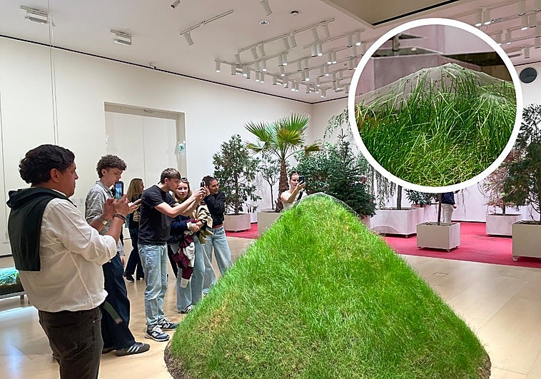 Mosquitas, arañas y cochinillas, 'artistas invitadas' en el Guggenheim