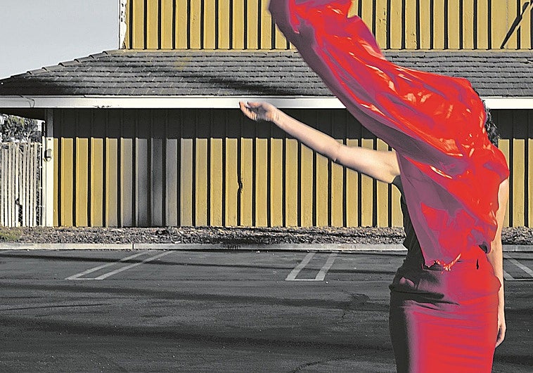 La vida de las cosas