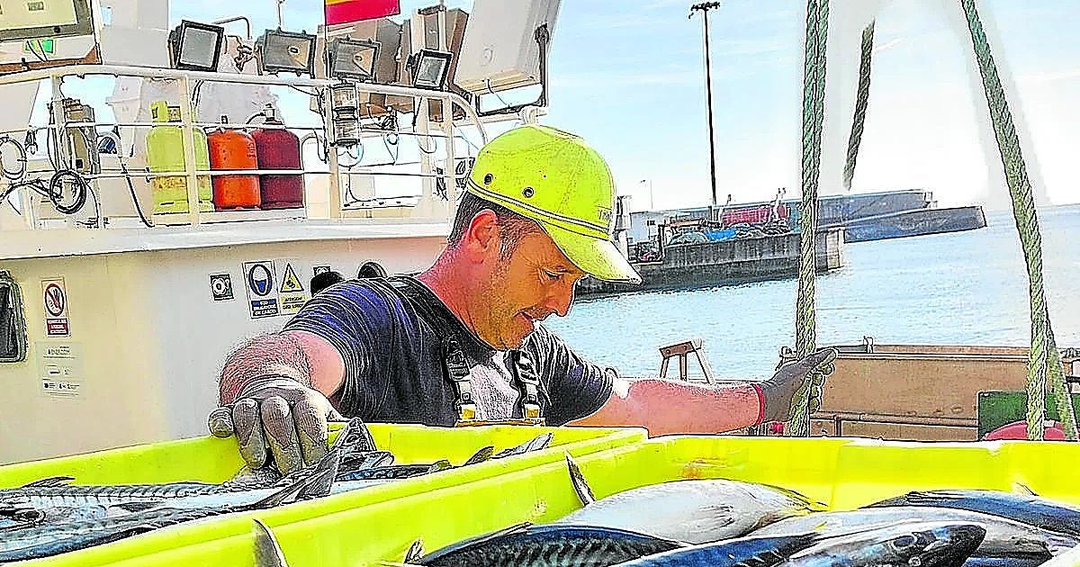 El verdel toca fondo con capturas en mínimos históricos: «Muchos barcos van camino de la quiebra»