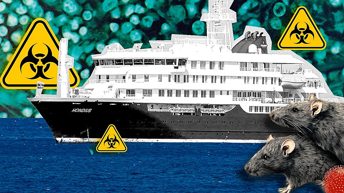 Así se transmite el hantavirus que ha matado a tres viajeros de un crucero con destino a Canarias