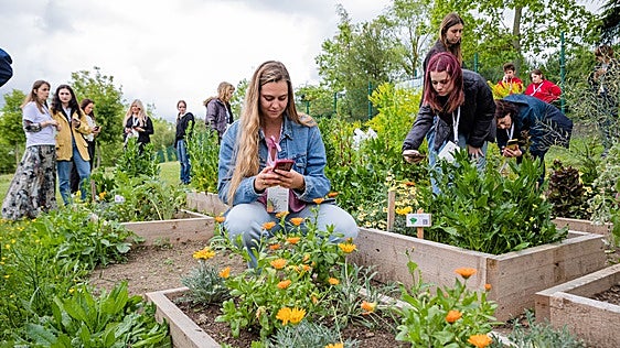 Los alumnos de Mendizabala plantan un jardín para elaborar cosmética natural