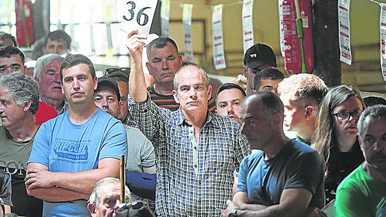 Un capricho de 5.450 euros llamado 'Ziortza': «Tenía que ser para mí»