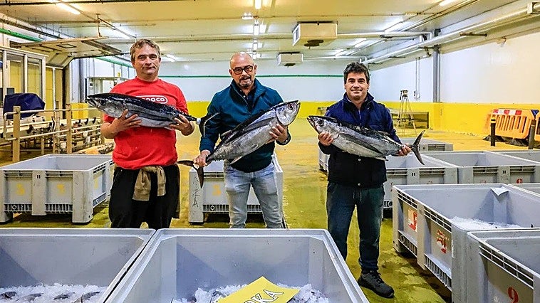 Precio récord de 398 euros el kilo para el primer bonito descargado por dos barcos vizcaínos en Avilés