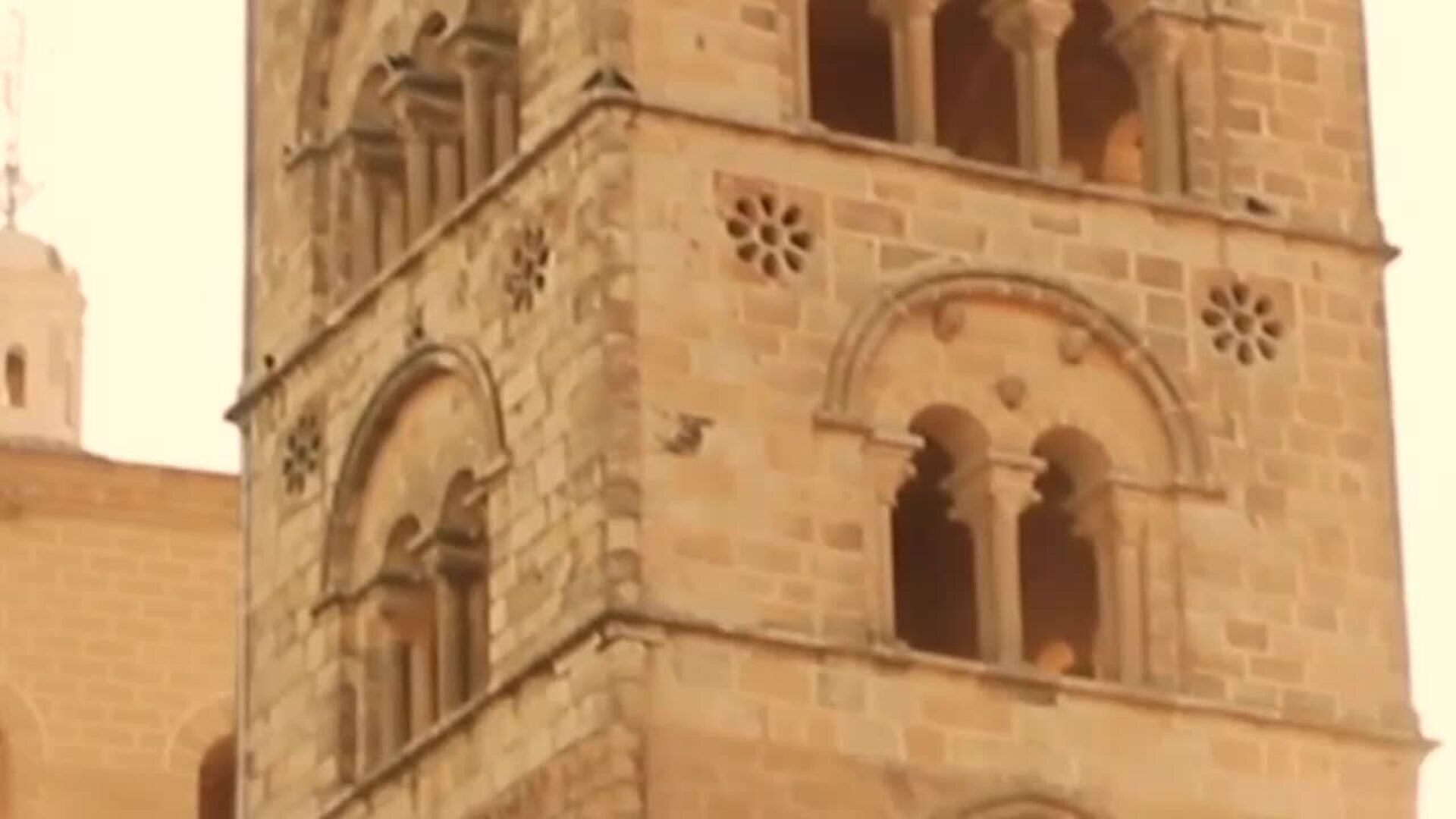 Cuatro de cada diez fábricas de las Marcas de Fabricante están en municipios pequeños