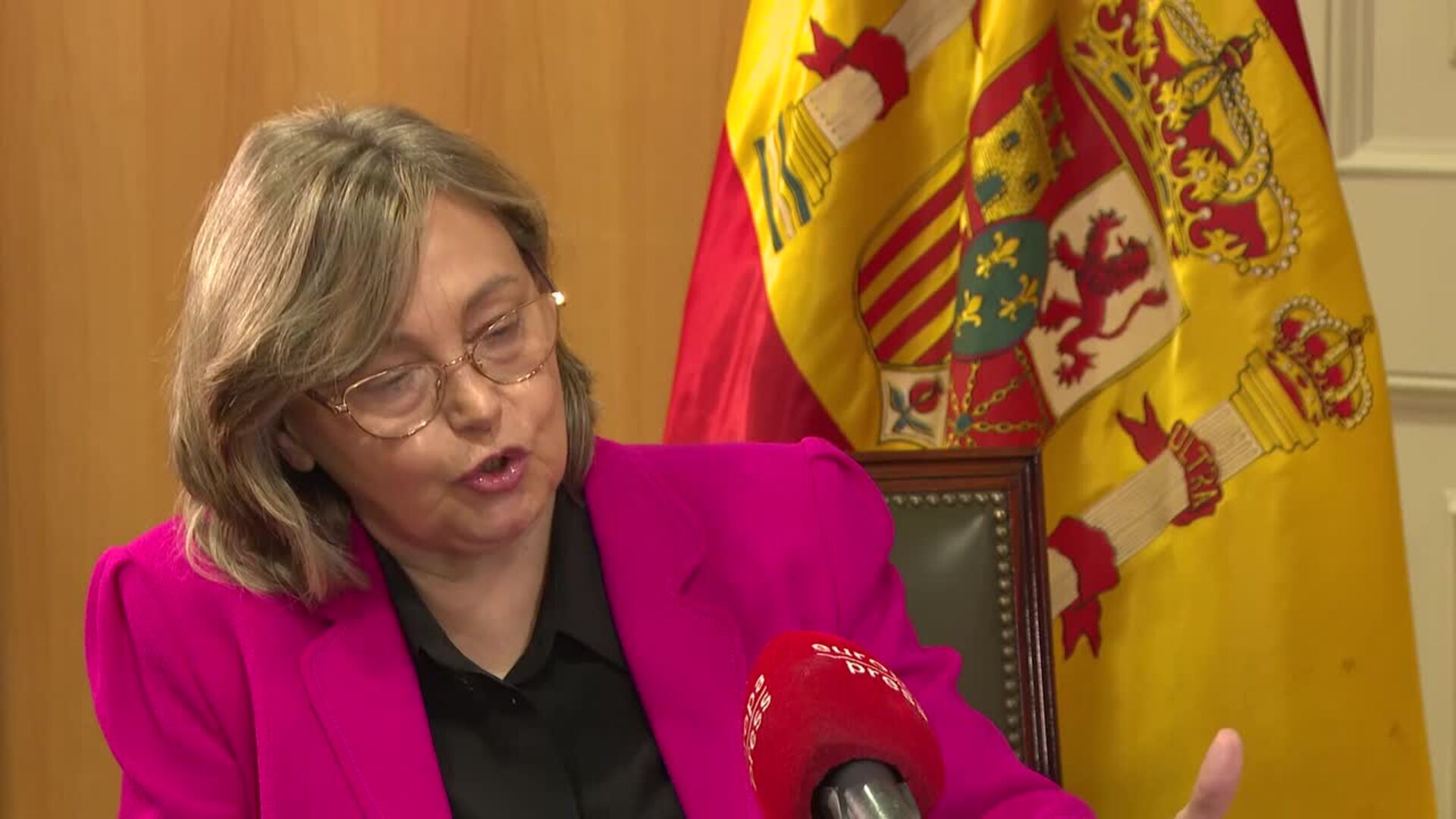 Erice (CGPJ) dice que "no es posible" un seguimiento especial de maltratadores reincidentes