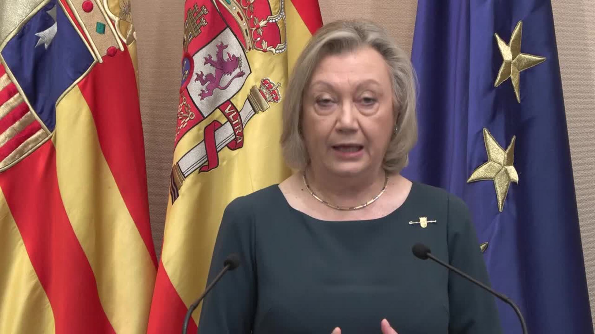 Rudi (PP) alerta contra quienes "critican las bondades de la democracia representativa"
