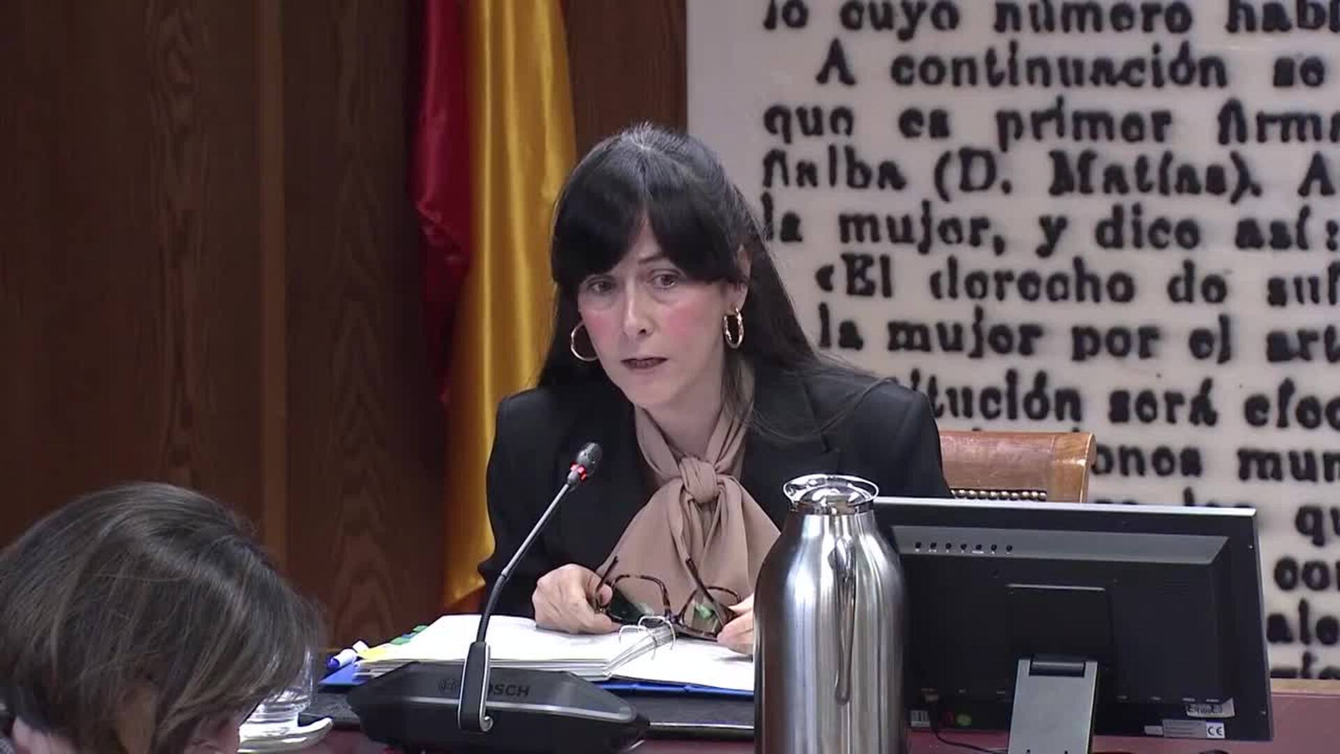 Gualda (SEPI) defiende que Plus Ultra es "estratégica" para la conectividad y el turismo