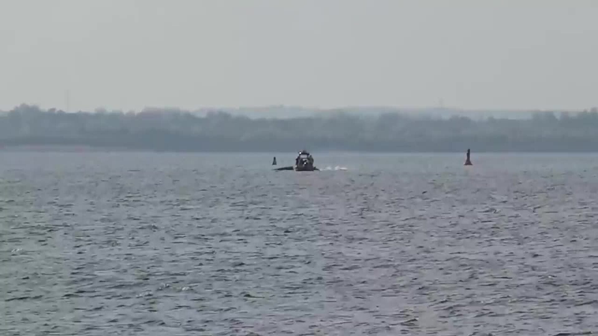 La ballena jorobada varada en el mar Báltico alemán empieza a nadar y vuelve a detenerse