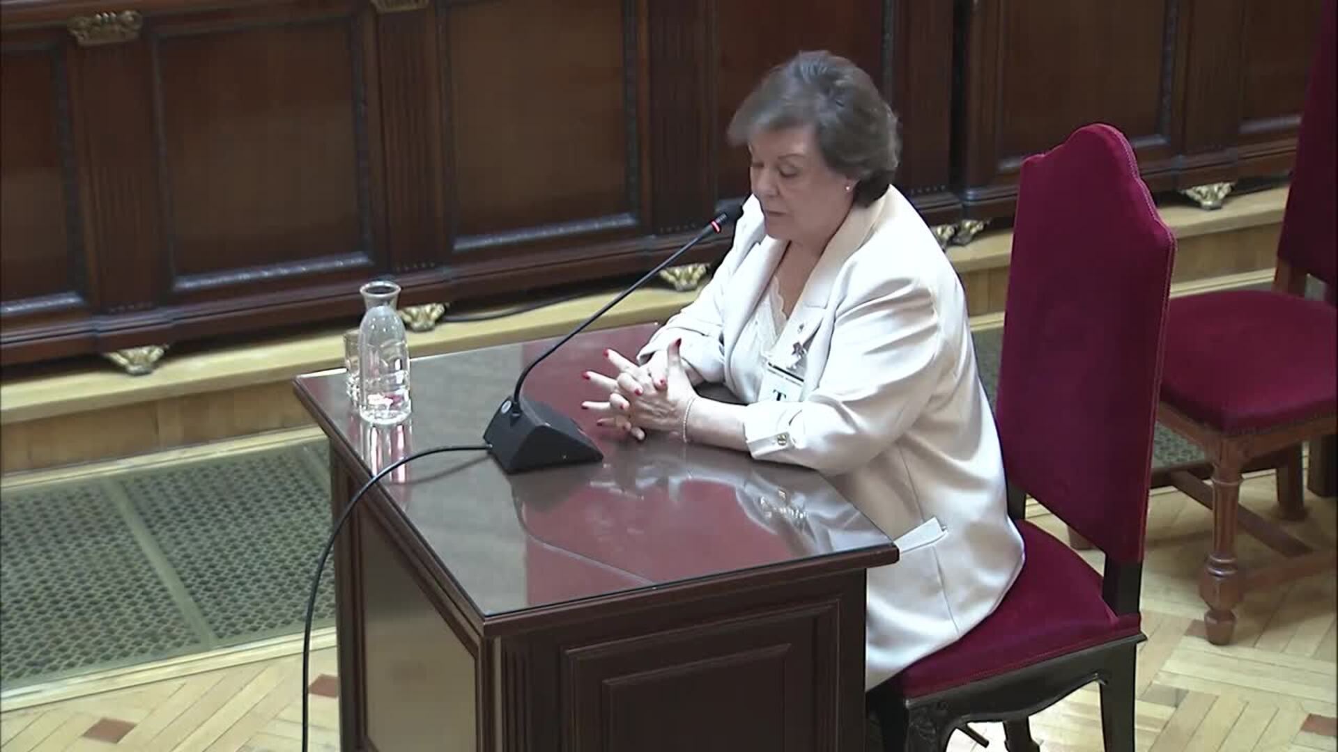 Presidenta de Tribunal de Cuentas dice que contratos de mascarillas se acomodaron a legislación