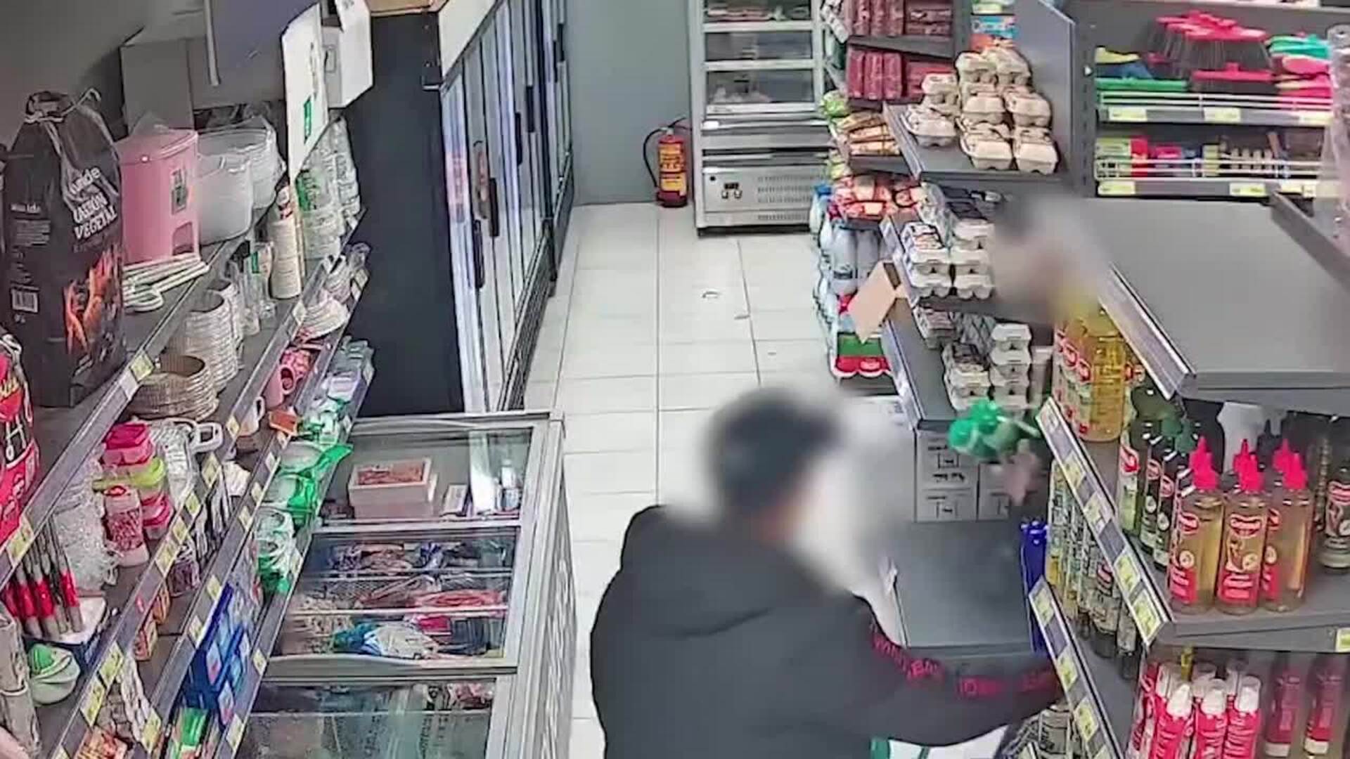Desarticulado grupo criminal que robaba productos farmacéuticos en La Sagra y Madrid