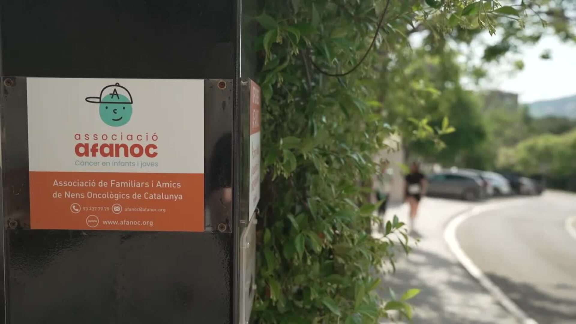 El IX TransPerfect Mountain Challenge reúne a 250 participantes contra el cáncer infantil