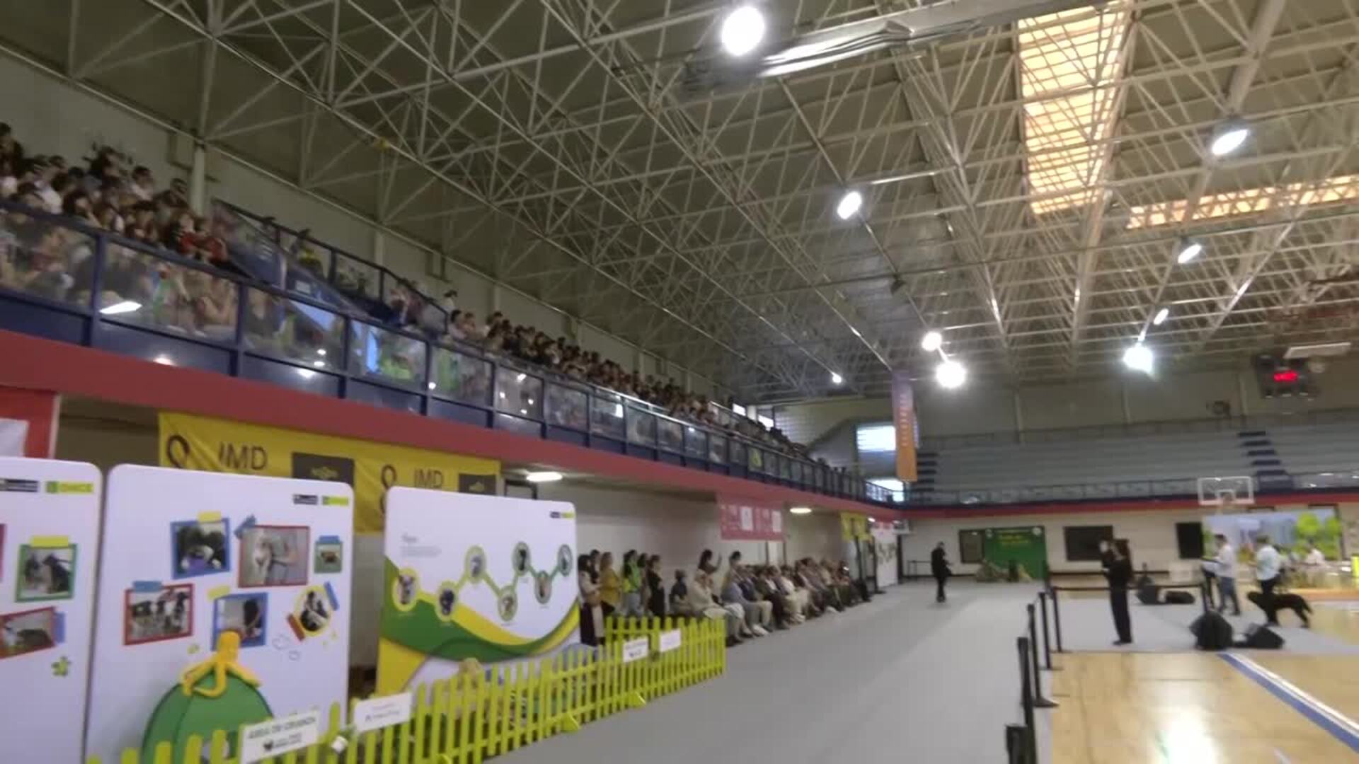 La ONCE muestra a más de 400 personas en Sevilla el papel de los perros guía