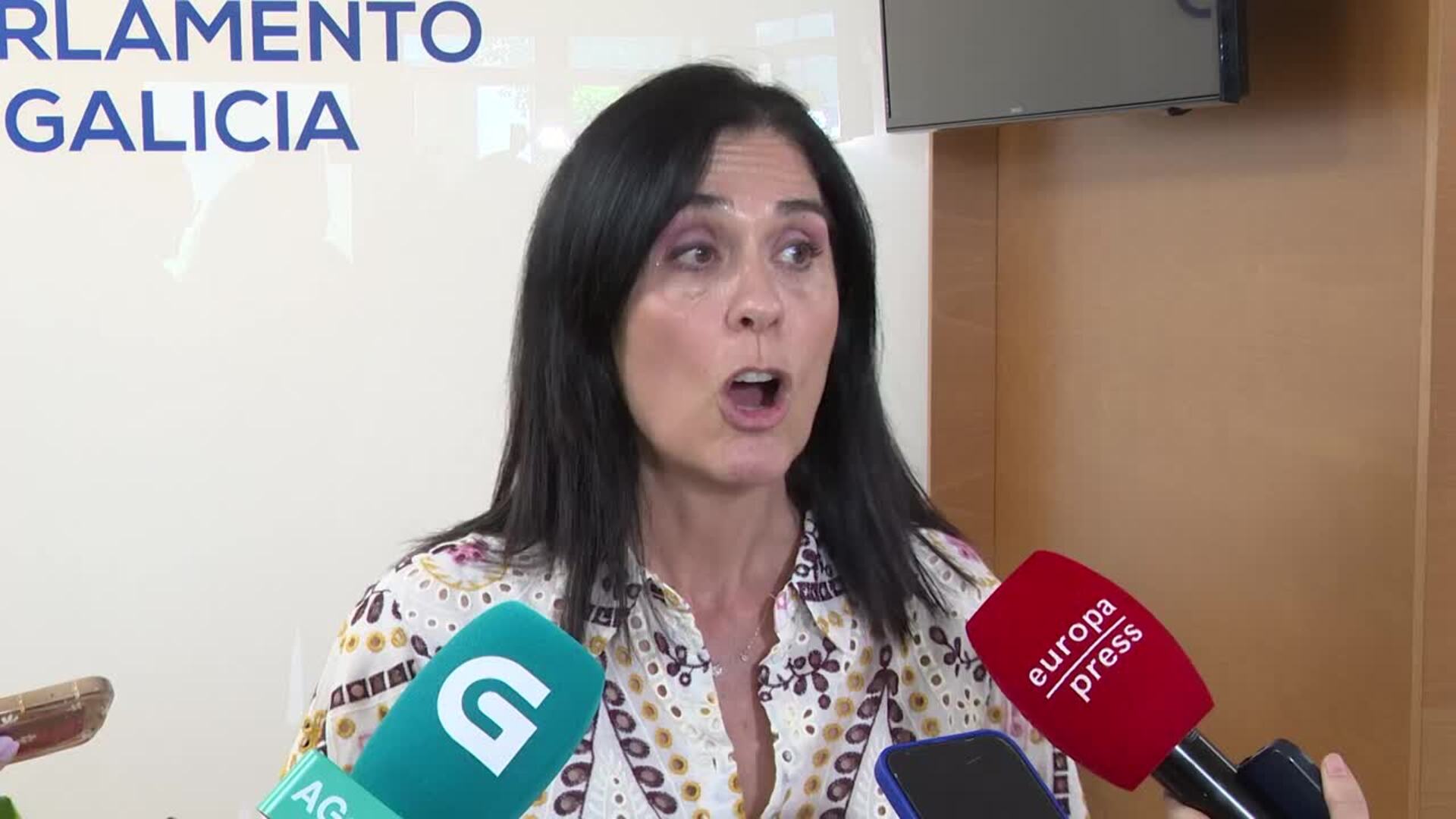Prado (PPdeG) acusa al BNG de "consentir, impulsar y mantener la corrupción del Gobierno"