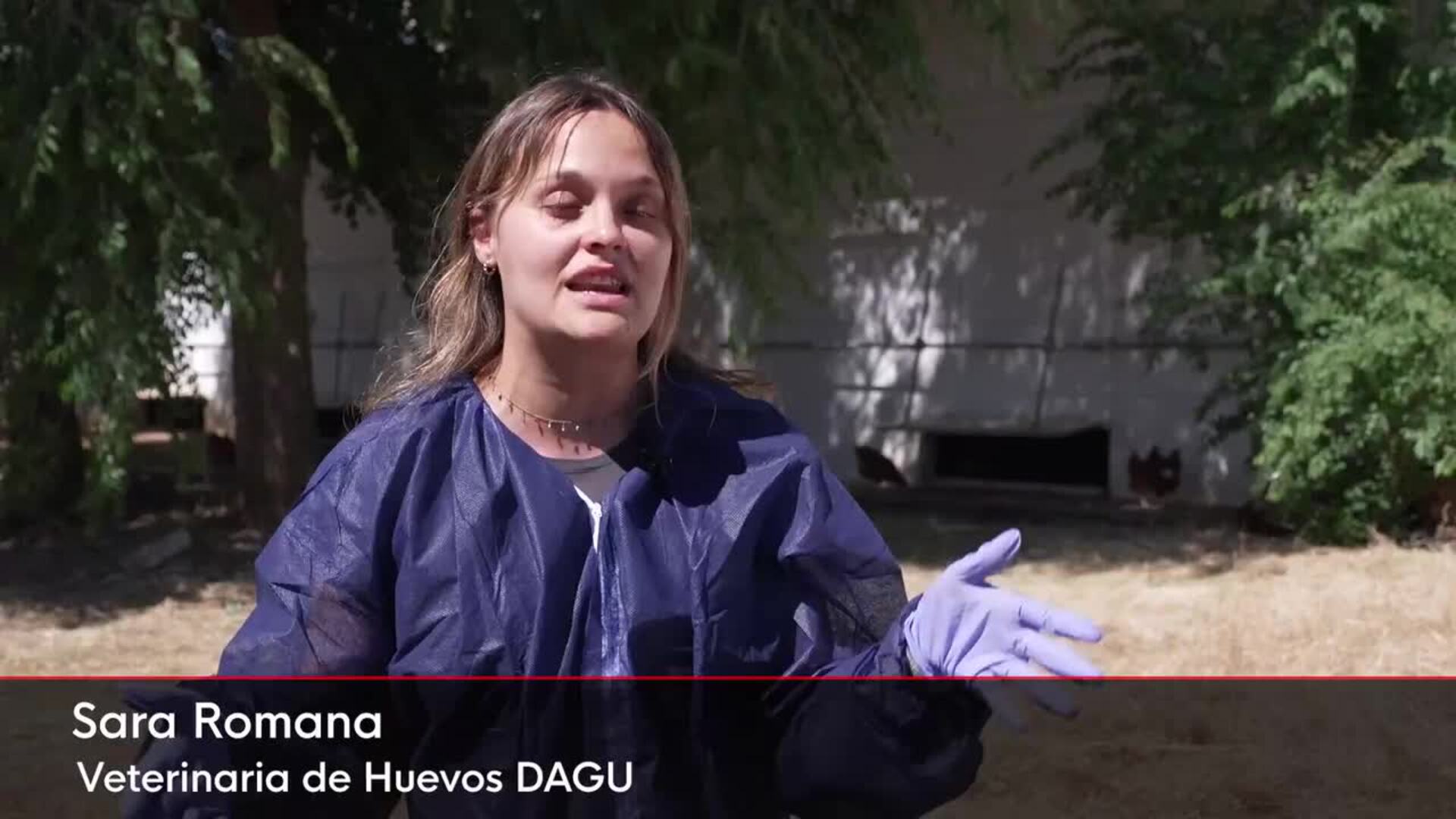 El consumo de huevo crece un 15 % en los hogares españoles en los últimos 3 años