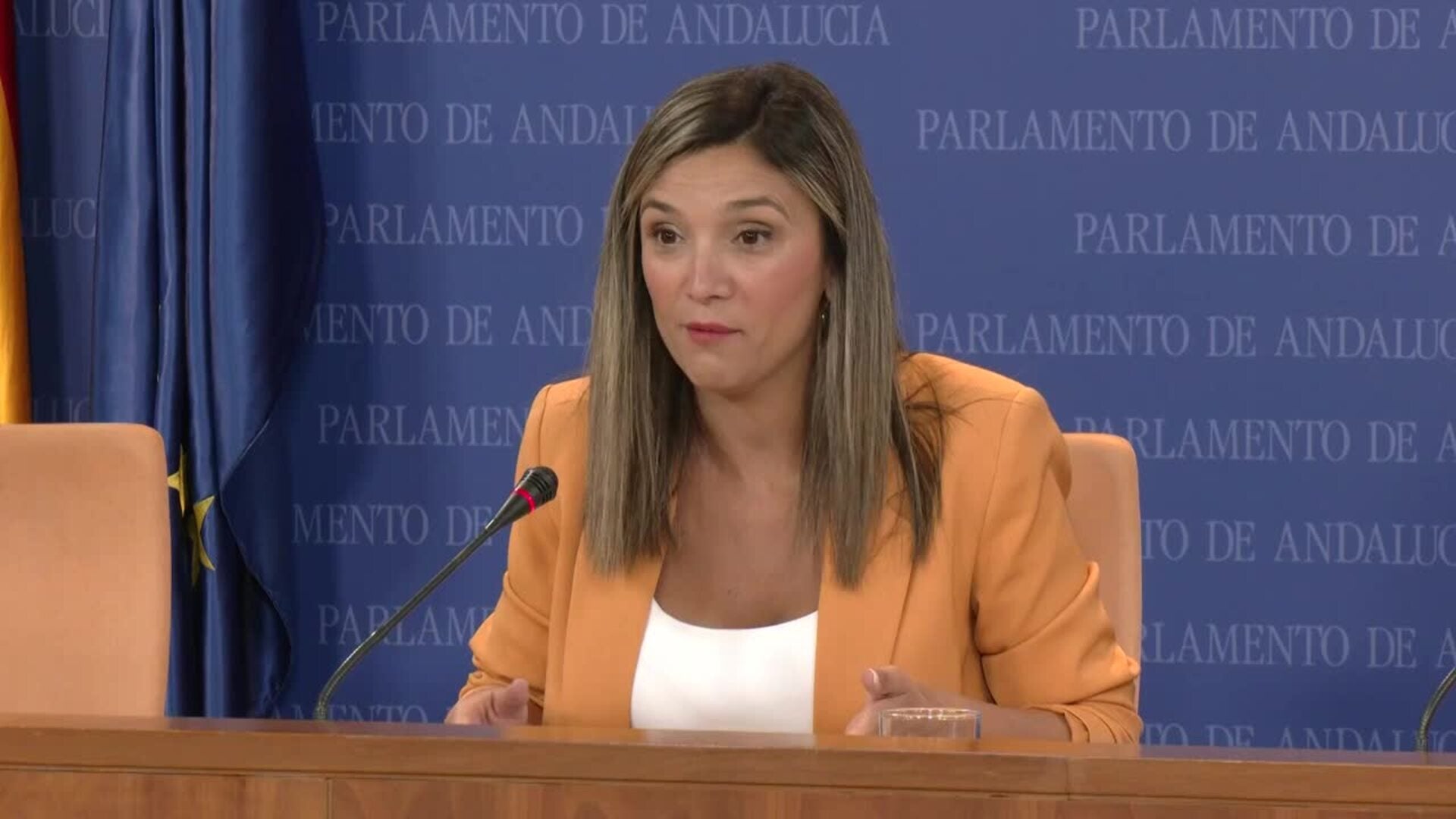 PSOE-A exige que el Parlamento debata sobre problemas de andaluces mientras PP y Vox pactan