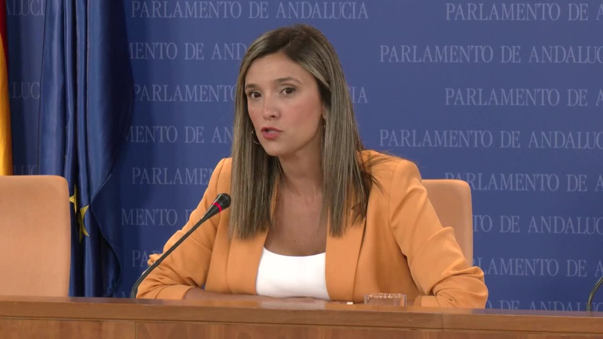 PSOE-A pide la dimisión de Landaluce por presuntos casos de acoso "encubiertos por Moreno"
