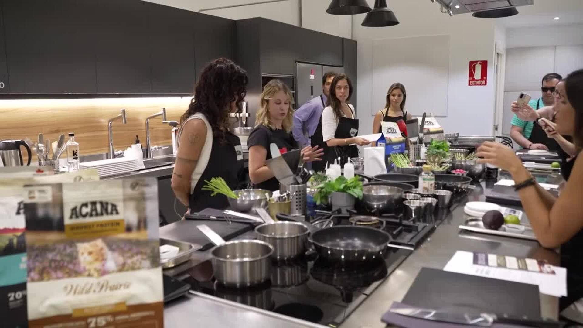 Expertos destacan el valor de la nutrición premium para la salud de los animales de compañía