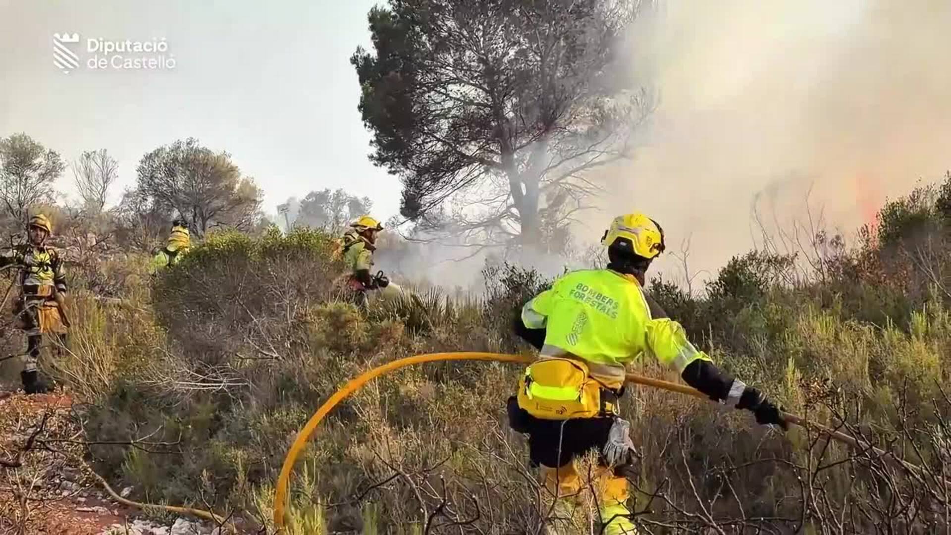 Estabilizado el incendio forestal de Benicarló (Castellón)
