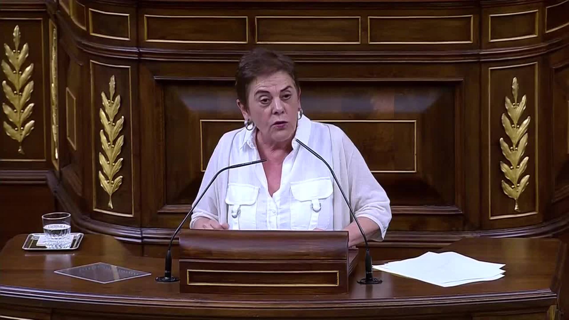 Bildu rechaza el adelanto electoral y emplaza a Sánchez a combatir la "operación" de PP y VOX