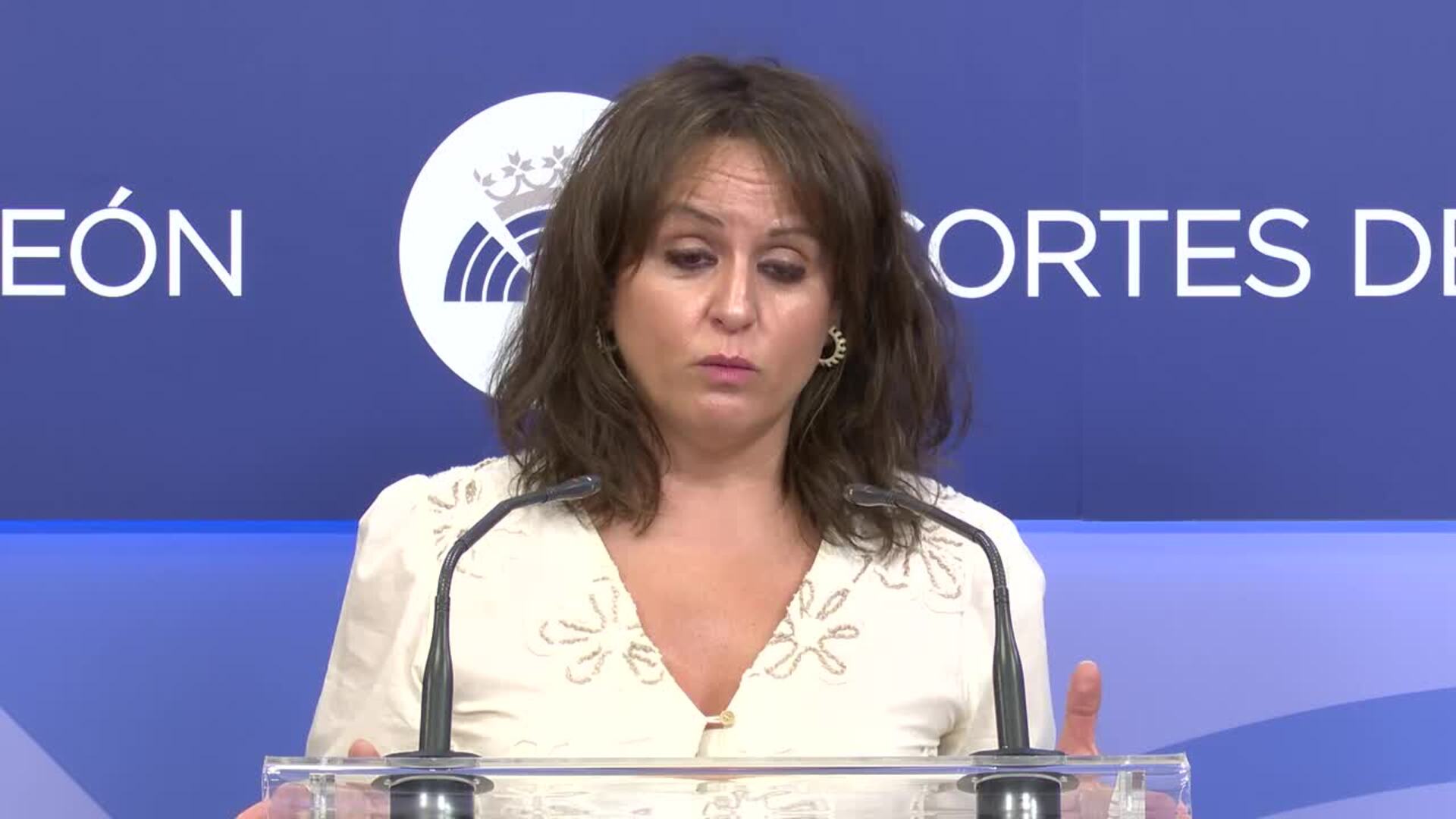 Las Cortes de CyL acogen el martes el pleno monográfico del Procurador del Común