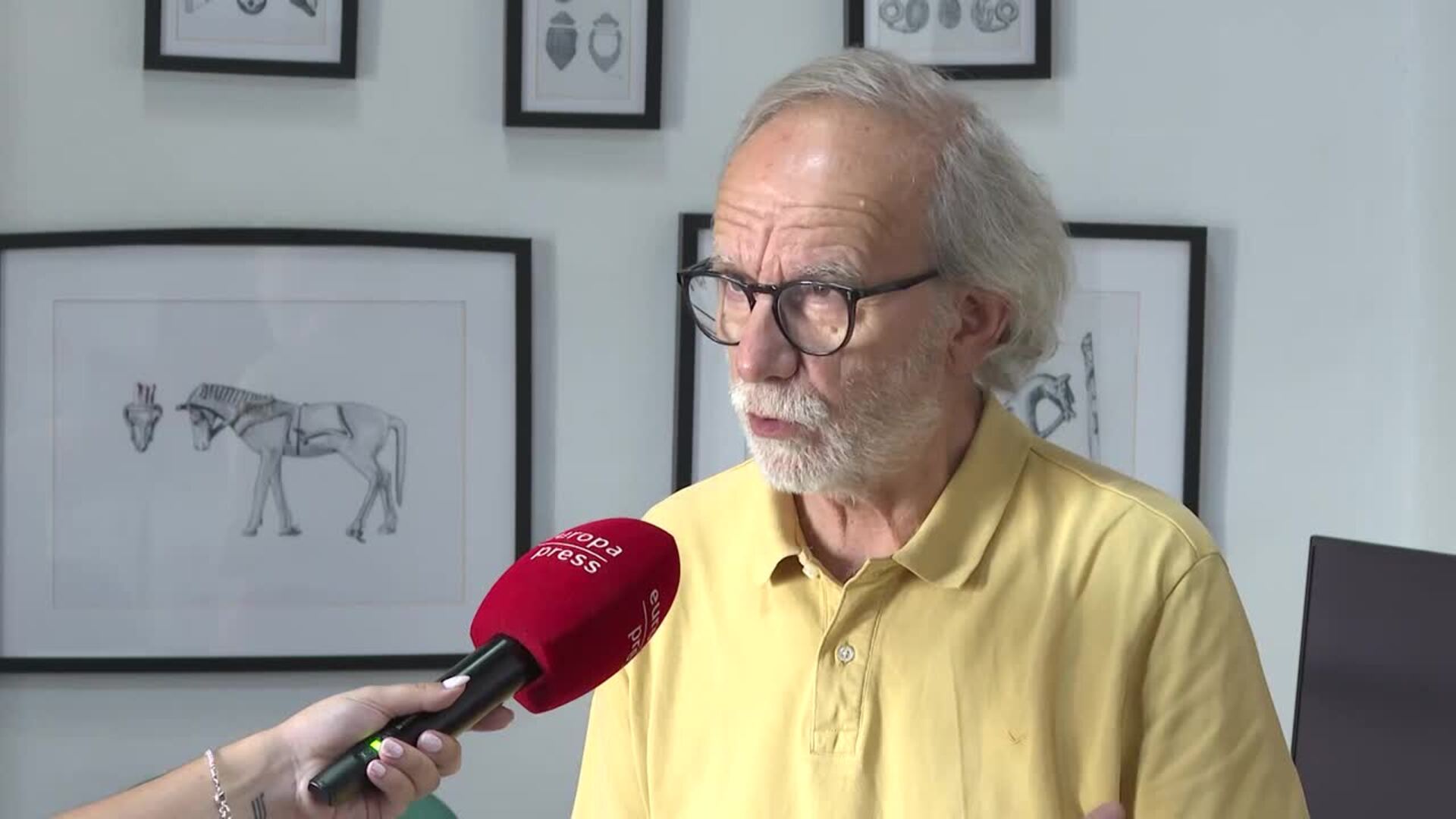 Sebastián Celestino, codirector del Turuñuelo: "Todos los años el yacimiento se va superando"