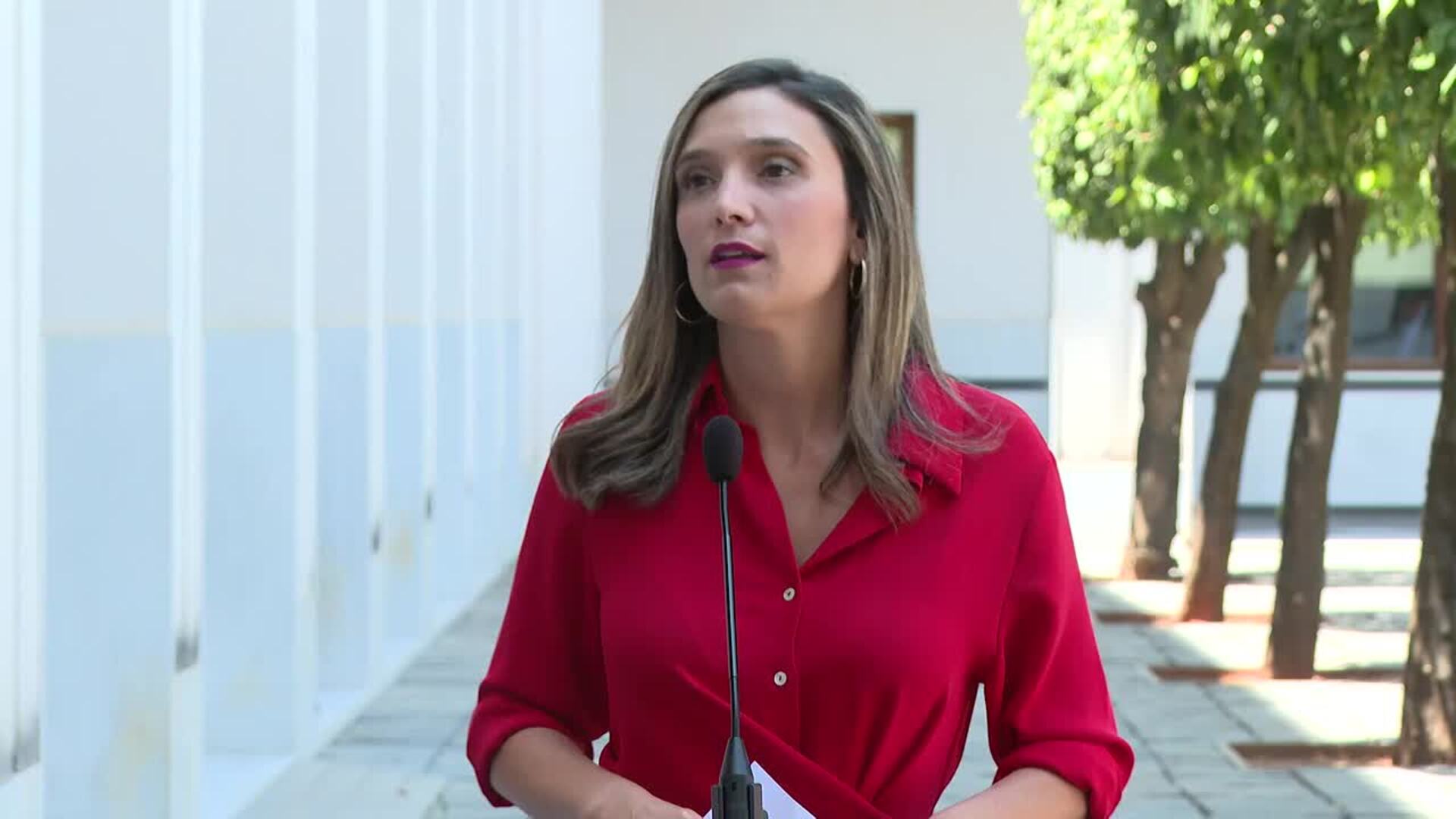 PSOE-A critica el “futuro” de Andalucía se escribe en "despachos de Vox en Madrid"