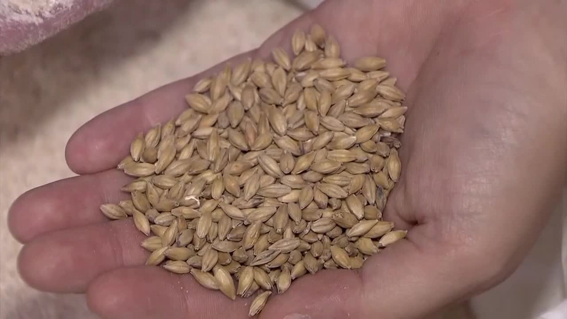 La cerveza española incrementa exportaciones y consolida su fortaleza productiva en 2025