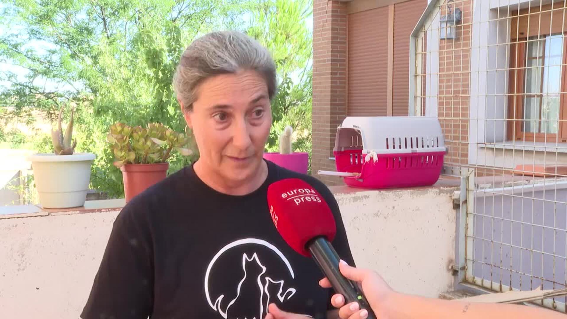 El abandono de mascotas en verano ¿un mito?: la Ley de Bienestar Animal frente a las "camadas"