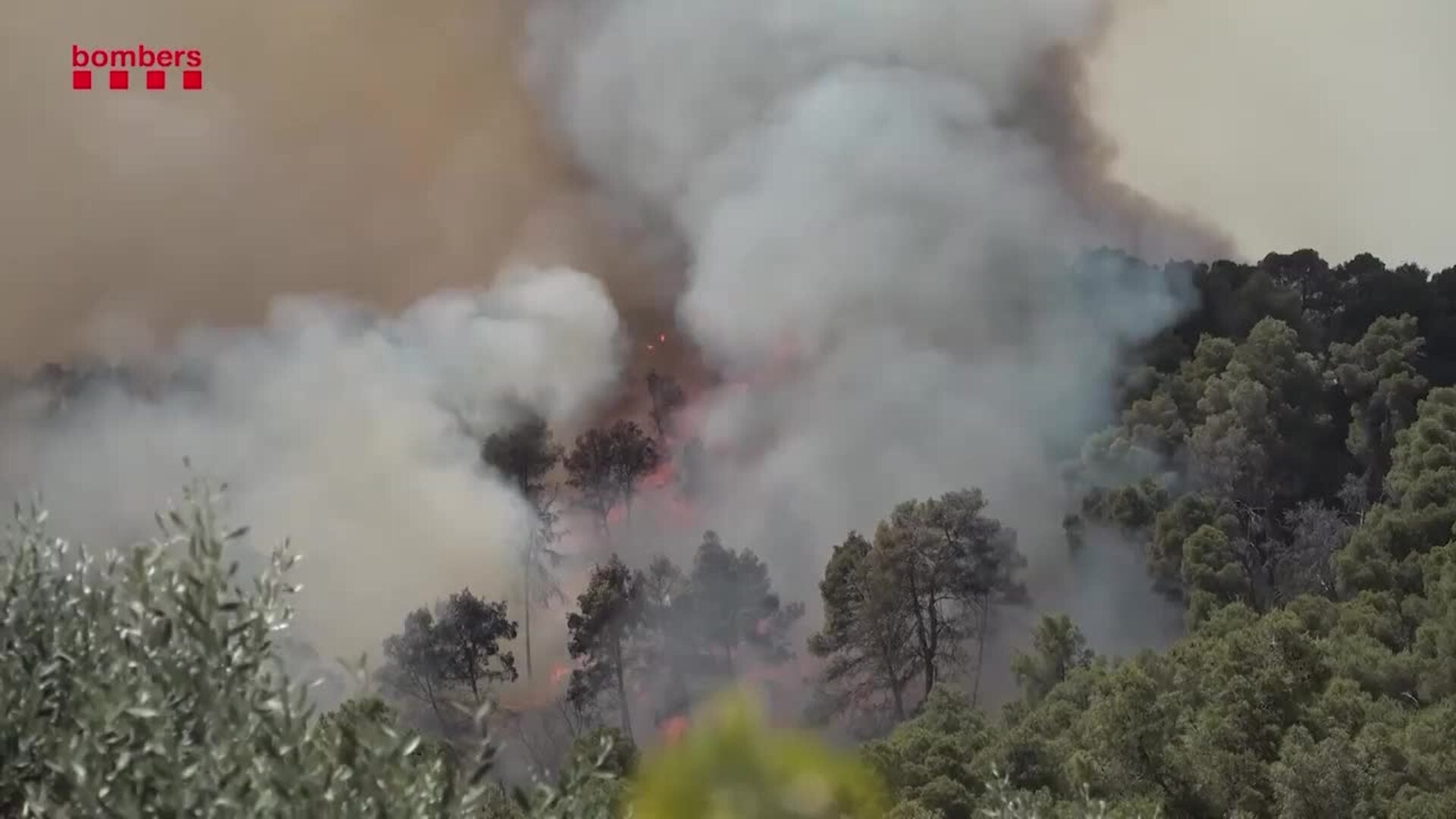 Los incendios forestales continúan golpeando a numerosas provincias del país