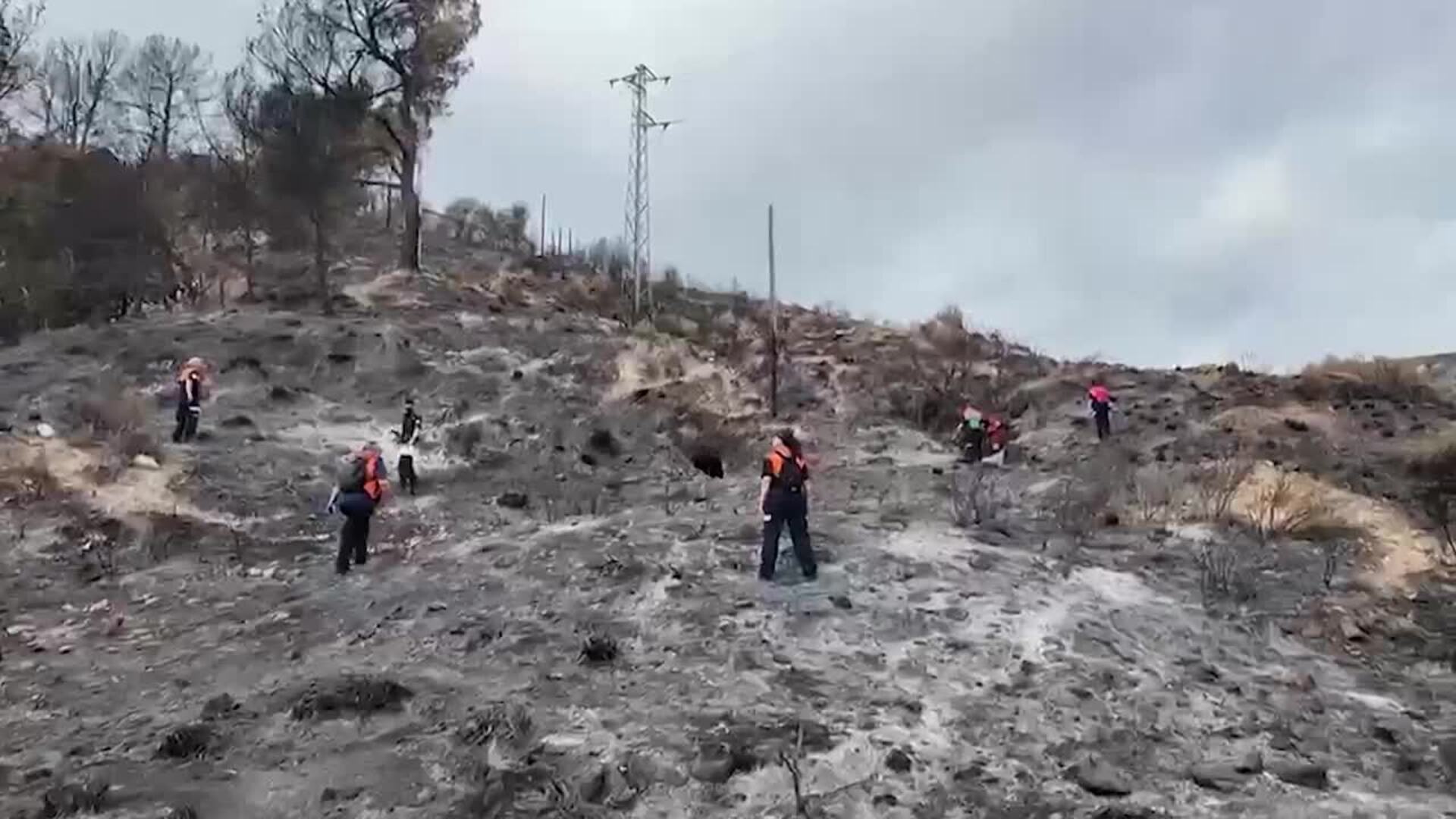 Las batidas en Los Gallardos terminan sin localizar nuevas víctimas