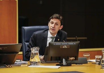 El consejero de Hacienda, Nöel d'Anjou, en una comparecencia en el Parlamento vasco