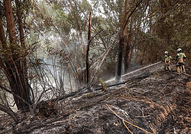 Labores de extinción en el incendio de Armiñón.