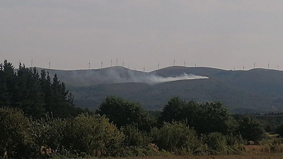 Consiguen controlar el incendio forestal en la Sierra de Elgea