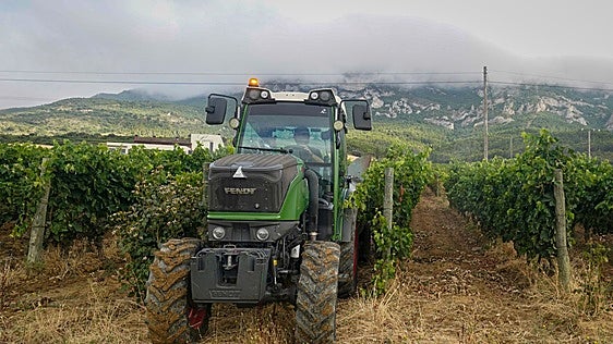 La UAGA denuncia que algunas bodegas no comprarán uva a viticultores esta campaña en Rioja Alavesa